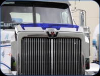 <strong><font color="#b42727"><u>ORDERING INFORMATION</strong></u></font><br>Contact Plastics For Trucks for more information