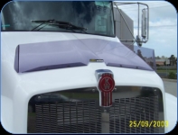 <strong><font color="#b42727"><u>ORDERING INFORMATION</strong></u></font><br>Photo 5: Contact Plastics For Trucks for more information